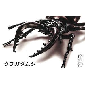 FUJIMI 170732 自由研究系列--#022 鍬形蟲 STAG BEETLE@@
