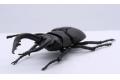FUJIMI 170732 自由研究系列--#022 鍬形蟲 STAG BEETLE@@
