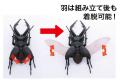 FUJIMI 170732 自由研究系列--#022 鍬形蟲 STAG BEETLE@@