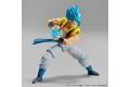 BANDAI 5055580 Figure-rise Standard系列--七龍珠.神超級賽亞人.悟達爾 SUPER SAIYAN GOD SUPER SAIYAN GOGETA