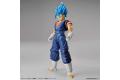 BANDAI 5055591  FIGURE-RISE STANDARD系列--超級賽亞人之神超級賽亞人達洛特 SUPER SAIYAN GOD SUPER SAIYAN VEGETTO