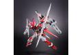 魂商店限定--BANDAI 5055853 1/100 MBF-P02 紅龍異端.羅裘爾用機 GUNDAM ASTRAY RED DRAGON