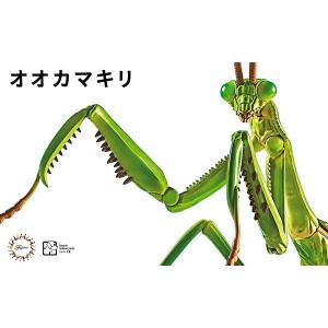 FUJIMI 170824 自由研究系列.生物篇--#023 大刀螳螂/綠色(免膠水黏合) BIG MANTIS