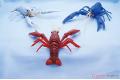 FUJIMI 170831 自由研究.生物篇--#24 小龍蝦(紅色)/免膠水黏合 CRAYFISH(RED)