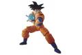 BANDAI 5058304 FIGURE-RISE STANDARD系列.七龍珠--孫悟空 SON GOKU