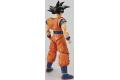 BANDAI 5058304 FIGURE-RISE STANDARD系列.七龍珠--孫悟空 SON GOKU