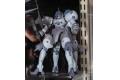 BANDAI 5058306 1/144 潛網者.R系列--#011 黃金國猛獸 ELDORA BRUTE