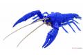 FUJIMI 170879 自由研究.生物篇--#24.EX-1 小龍蝦(藍色)/免膠水黏合 CRAYFISH(BLUE)