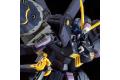 魂商店限定--BANDAI 5059053 1/144 RG版--骷髏鋼彈X2 CROSSBONE GUNDAM X2