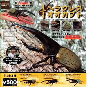 SO-TA 781768 完成品--1/1 甲蟲/全3種