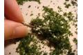 M-BOX ass-110 橄欖綠色樹粉  OLIVE GREEN TREE POWDER