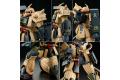魂商店限定--BANDAI 5059560 1/144 MS-06D薩克/沙漠型 ZAKU DESERT TYPE