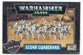 GAMES WORKSHOP GW-46-09 戰槌4000系列--神靈族.監護人 ELDAR GU...