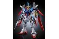 BANDAI 5060237 1/144 魂商店限定--RG版.GMF-X42S命運鋼彈(鈦合金完成色) DESTINY GUNDAM(TITANIUM FINISH))