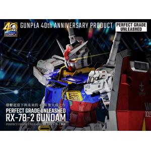 BANDAI 5060765 1/60 PG版--RX-78-2鋼彈 VER.2.0版 RX-78-2 GUNDAM  VER 2.0