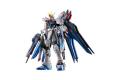 魂商店限定--BANDAI 5061039 1/144 RG版--ZGMFXA攻擊自由鋼彈(鈦合金電鍍色) STRIKE GUNDAM (TITANIUM FINISH)