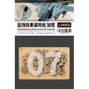 LIANG MODELS 0007 戰機鹽蝕效果噴漏紙-加密版 SALT WEATHERING EFFECTS AIRBRUSH STENCILS-INTENSIVE