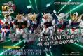 魂商店限定.盒玩--BANDAI 2553993 FW鋼彈.10周年 FW GUNDAM 10 YEARS ANNIVERSAY