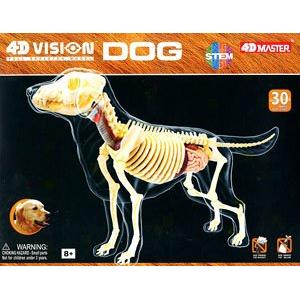 AOSHIMA 108635 4D視覺--動物#12 解剖犬隻/塗裝完成品