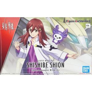 BANDAI 5062158 Figure-rise Standard 境界戰機 紫紫部 史恩 Shion Shishibe