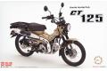 FUJIMI 141923 1/12 HONDA CT125 HUNTER Cub BikeNX4 啞光棕