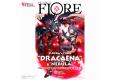 VLOCKer's FIORE Dracaena 和 Nebula（特别版 Face & Clear Runner）