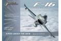 團購.EAGLE AVIATION 空中的毒蛇系列--美國.通用動力 F-16'戰隼'戰鬥機彩色圖說