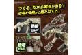 BANDAI 5065702 新恐龍#06 甲龍@@